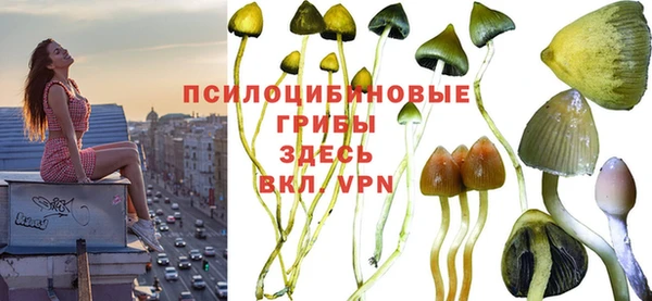 PSILOCYBIN Пересвет