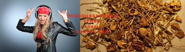 скорость Алексин